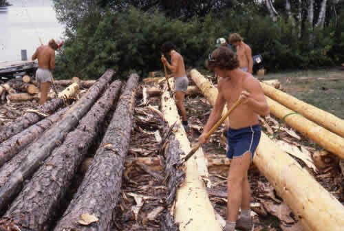 log peeling